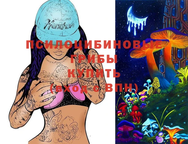 соль ск Саяногорск