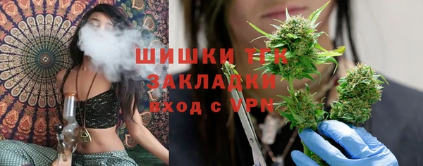 PSILOCYBIN Алзамай