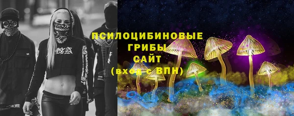 PSILOCYBIN Алзамай