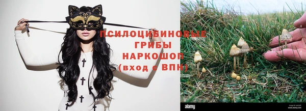 дурь Алексеевка